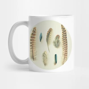 The Feather Collection Mug